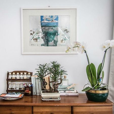 Cosy Flat In City Center Ponta Delgada Zewnętrze zdjęcie