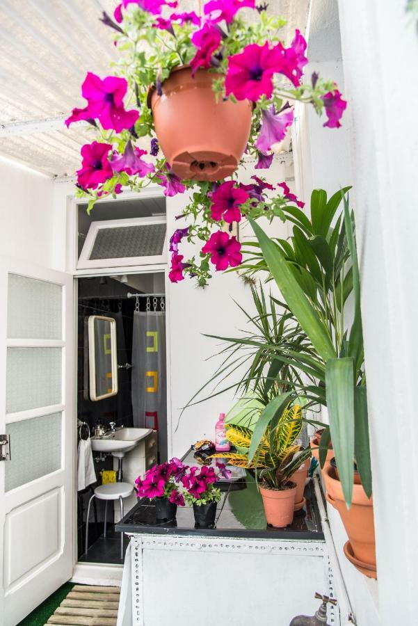 Cosy Flat In City Center Ponta Delgada Zewnętrze zdjęcie